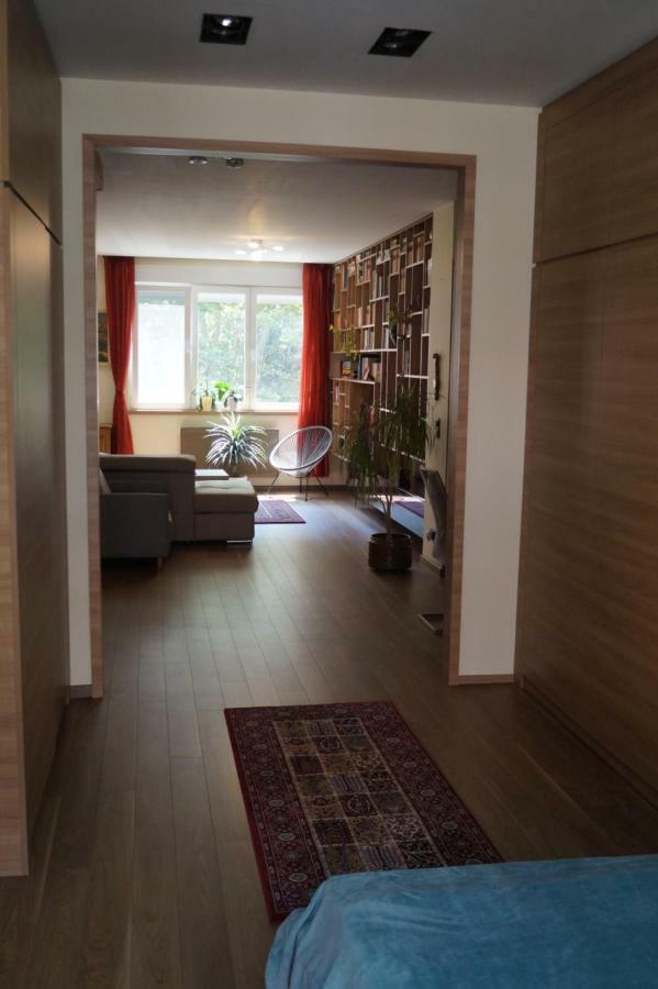 Mamini'S Apartment บูดาเปสต์ ภายนอก รูปภาพ